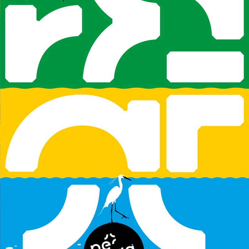 Cover Image for Conferință pe Bega