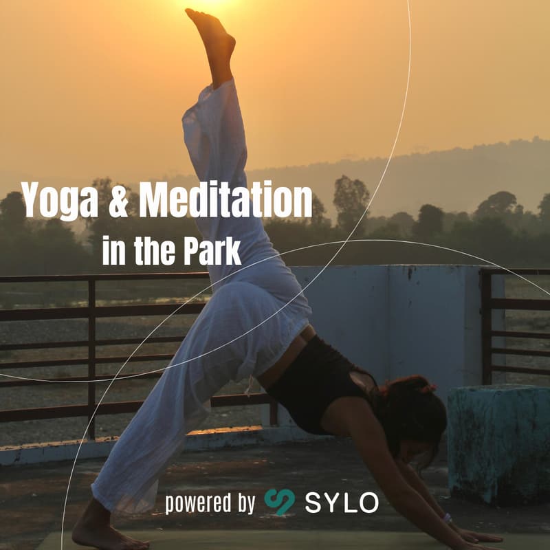 Cover Image for Yoga & Meditation in the park