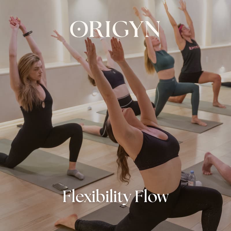 Cover Image for Flexibility Flow