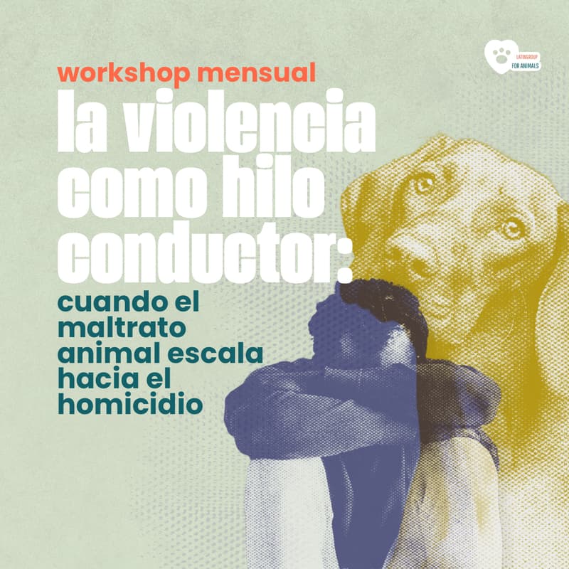 Cover Image for La violencia como hilo conductor: cuando el maltrato animal escala hacia el homicidio