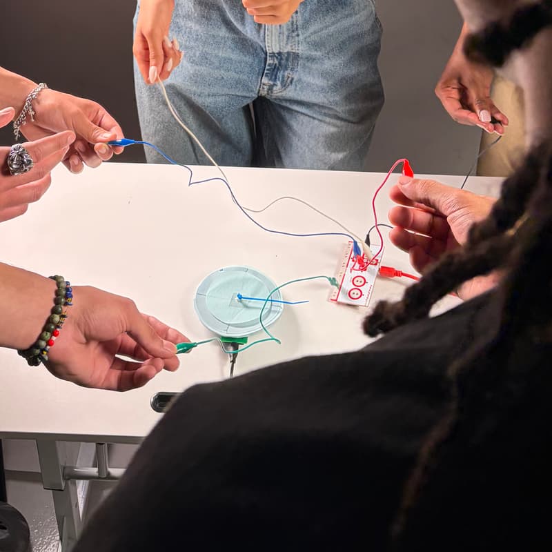 Cover Image for Show & Tell: Physical Computing