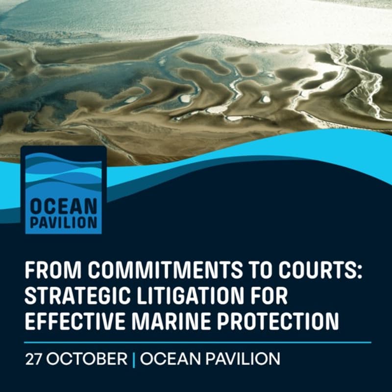 Cover Image for From Commitments to Courts: Strategic Litigation for Effective Marine Protection
