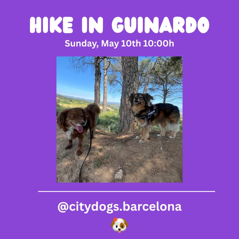 Cover Image for Hike in Guinardo