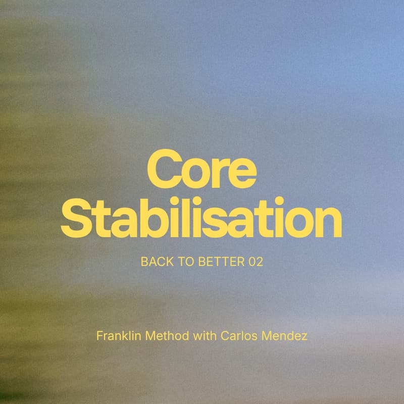 Cover Image for BACK TO BETTER 02 — Core Stabilisation