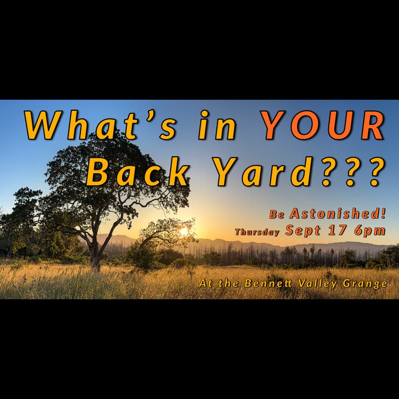 Cover Image for What's in YOUR Back Yard???