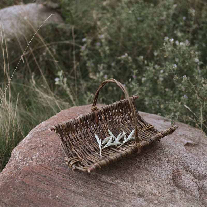 Cover Image for Tiny Trug