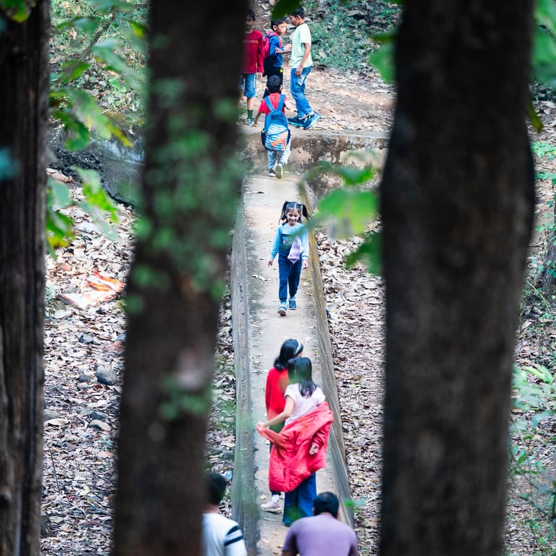 Cover Image for Eco Steps : A Nature Trail for Kids (accompanied by parents)