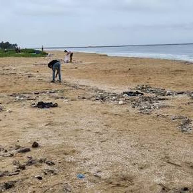 Cover Image for International Coastal Cleanup Day 2026- Calicut (Kozhikode)