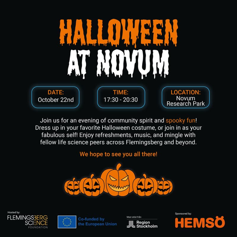 Cover Image for Halloween at Novum