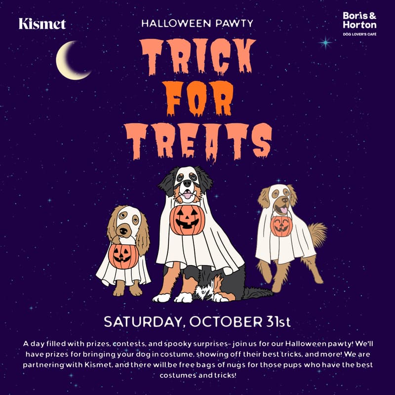 Cover Image for Trick for Treats - Halloween Pawty