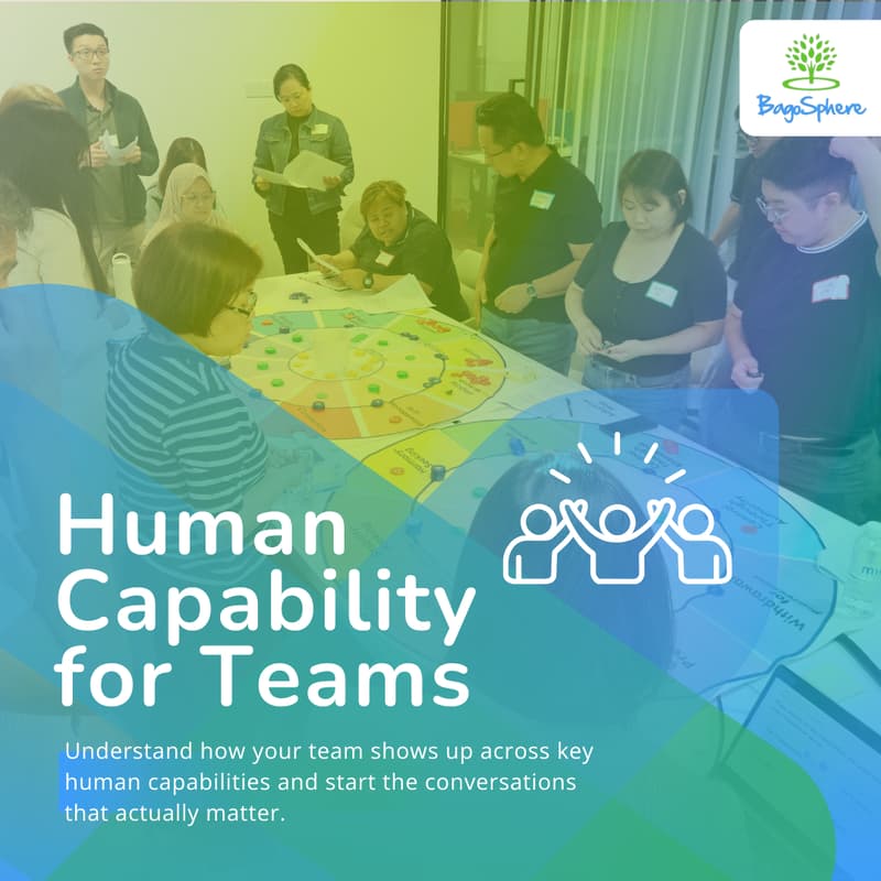 Cover Image for Developing Human Capability for Teams