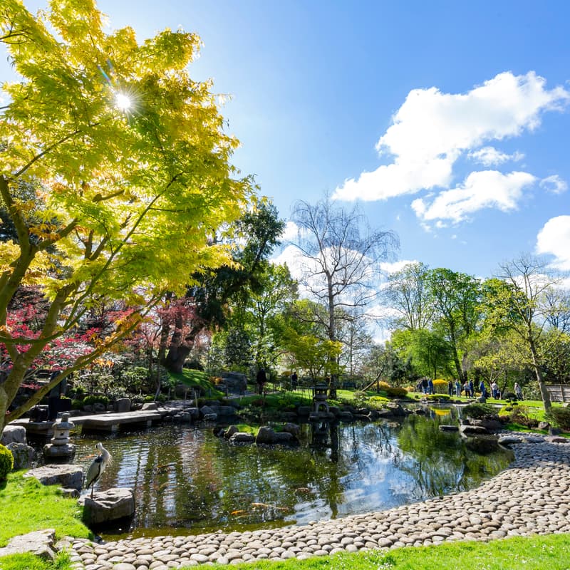 Cover Image for 🌿 Bank Holiday Picnic at Holland Park + Design Museum Visit