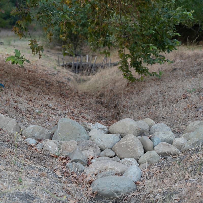 Cover Image for Gully Stuffing, Log & Rock Check Dams