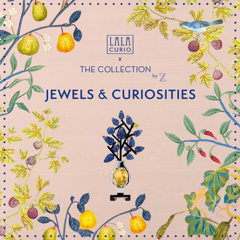 Cover Image for LALA CURIO x The Collection by JLG