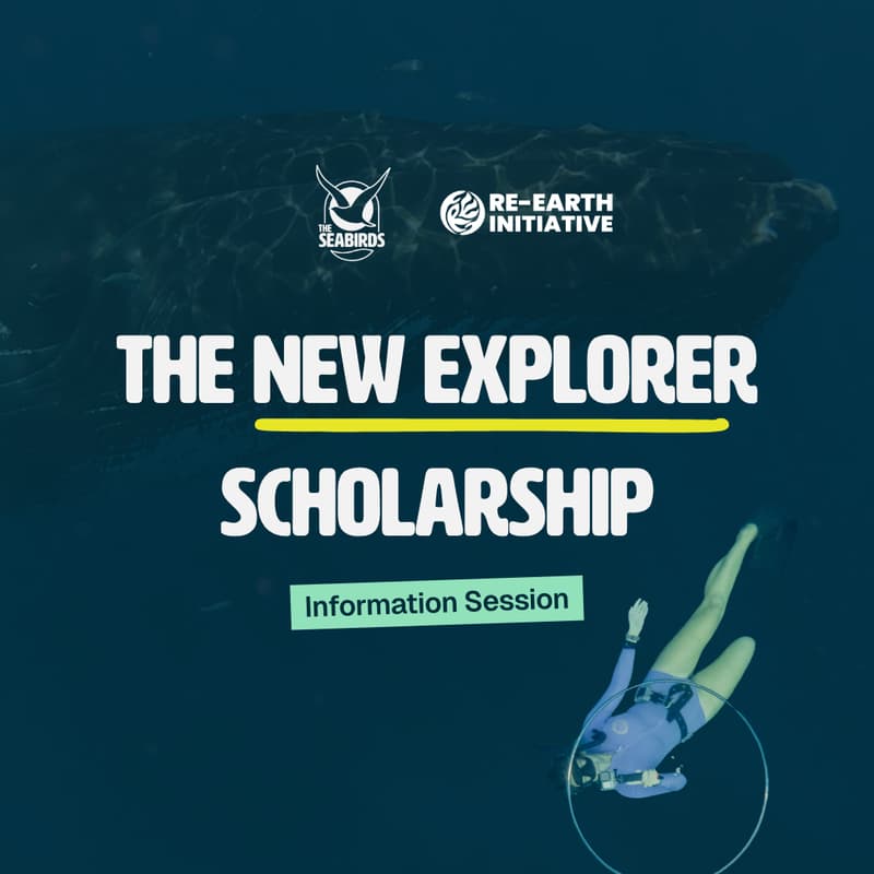 Cover Image for The New Explorer Scholarship - Information Session