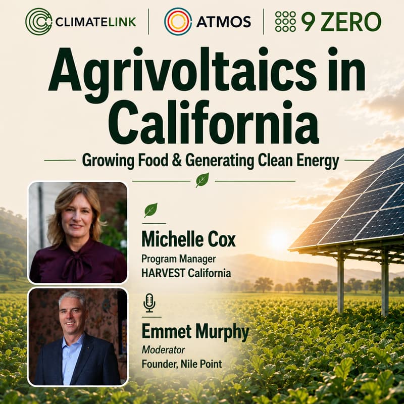 Cover Image for Agrivoltaics in California: Growing Food & Generating Clean Energy