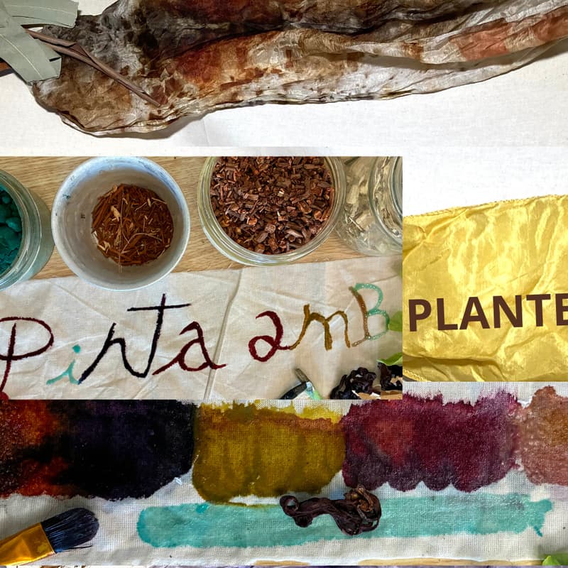 Cover Image for PINTAR AMB PLANTES