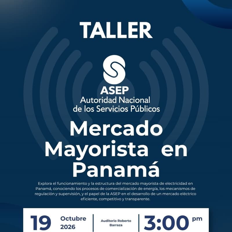 Cover Image for Mercado Mayorista en Panamá