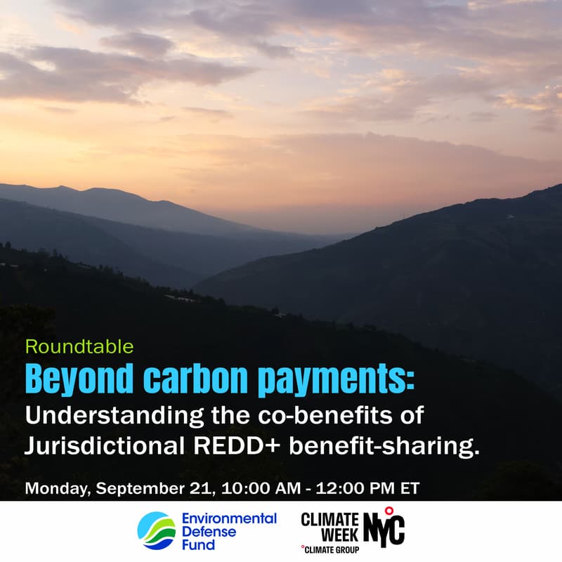 Cover Image for Beyond carbon payments: Understanding the co-benefits of Jurisdictional REDD+ benefit-sharing.