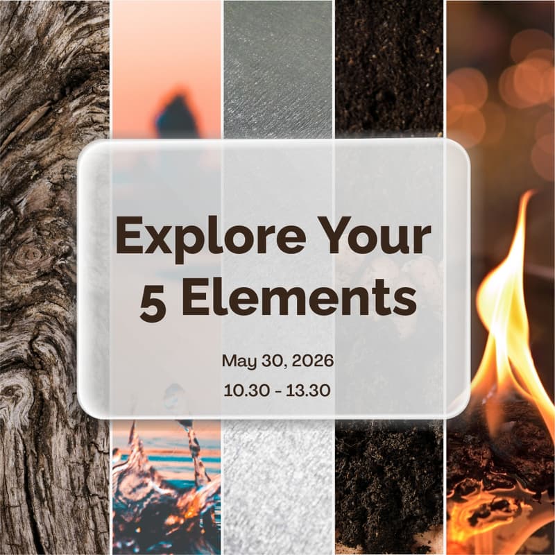 Cover Image for Explore Your 5 Elements