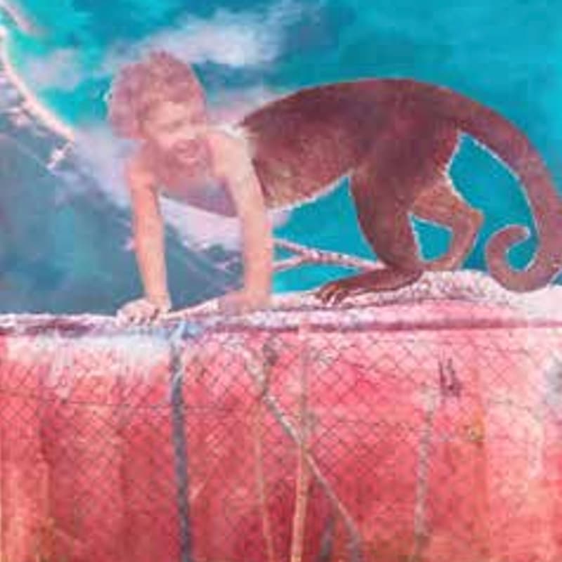 Cover Image for Gowanus Dredgers’ Members Exhibition Opening: Urban Wildlife