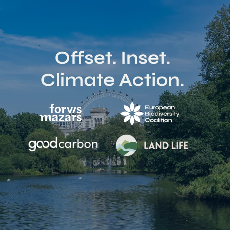 Cover Image for Offset. Inset. Climate Action. Embedding Nature-Based Carbon Removal Across Your Supply Chain