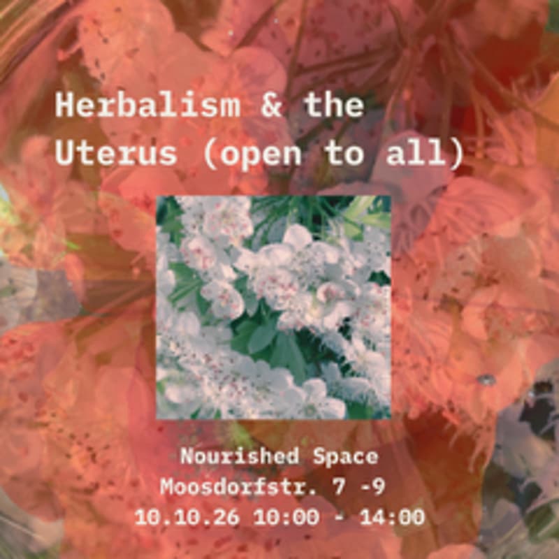 Cover Image for Herbalism & The Uterus (open To All)