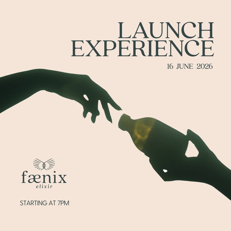 Cover Image for faenix elixir experience - Launch Event 🐦‍🔥