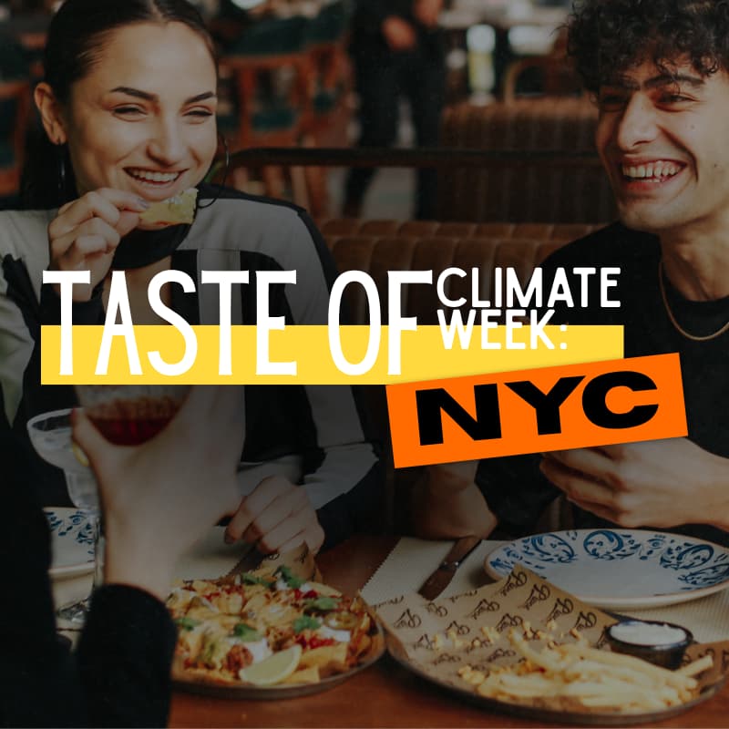 Cover Image for Taste of Climate Week: NYC