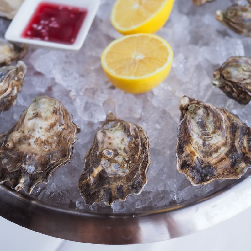 Cover Image for Social Hour with Billion Oyster Project