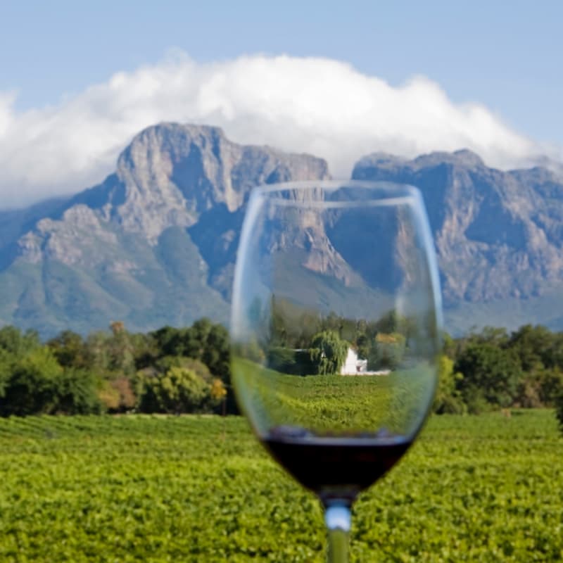 Cover Image for Wines from South America - Wine Tasting