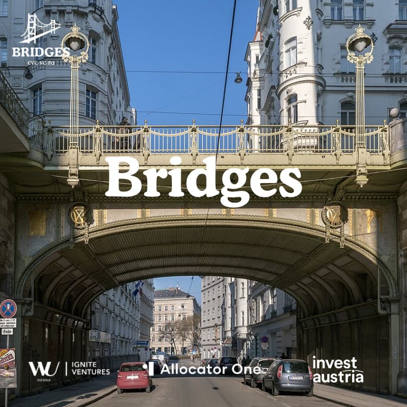 Cover Image for Bridges in Vienna: Summer Night IV ๐ป