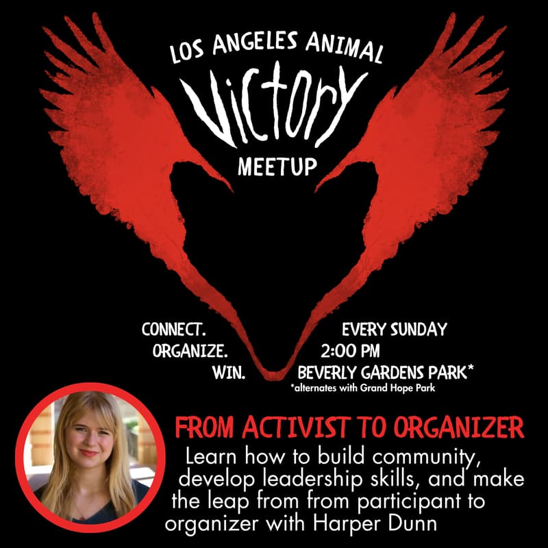 Cover Image for Activist to Organizer - LA Animal Victory Meetup