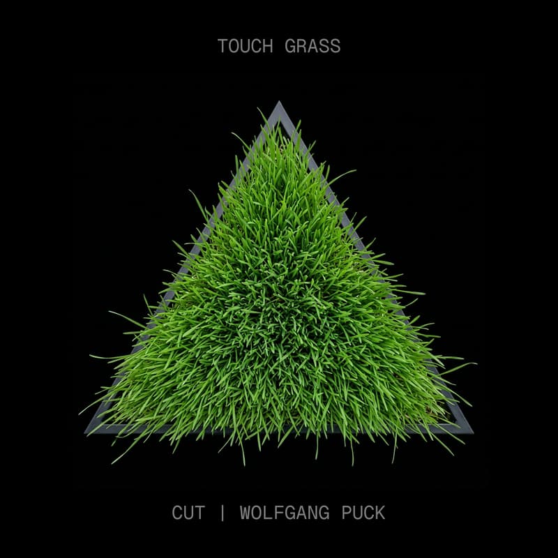 Cover Image for Touch Grass: Vercel's Wellness Lounge at AWS re:Invent