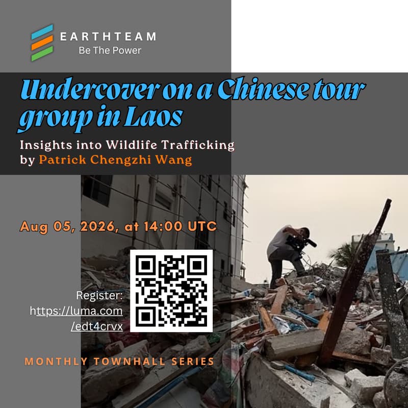 Cover Image for Undercover on a Chinese tour group in Laos: Insights into Wildlife Trafficking
