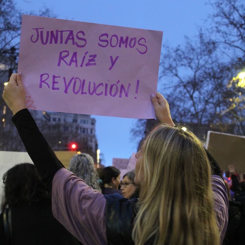 Cover Image for 2 años de Semillar