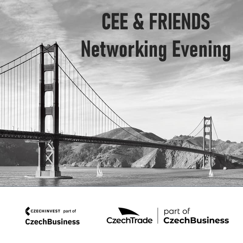 Cover Image for CEE & Friends Networking Evening