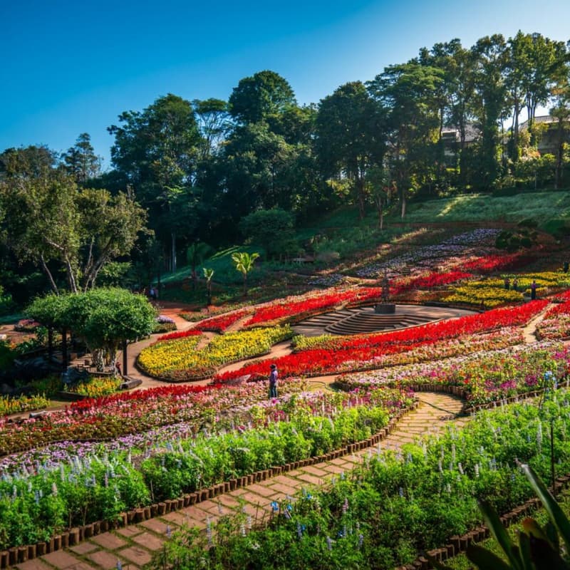 Cover Image for Nature Lunch Bangkok