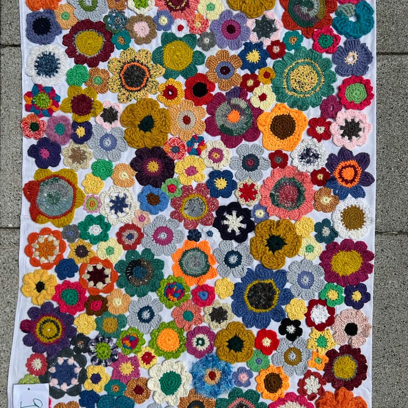 Cover Image for Crocheting for Biodiversity