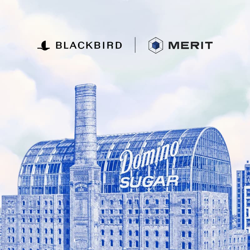 Cover Image for Merit Systems x Blackbird