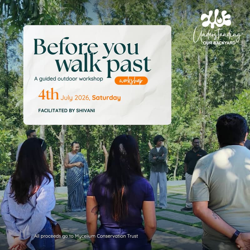 Cover Image for Before You Walk Past - A Guided Outdoor Workshop