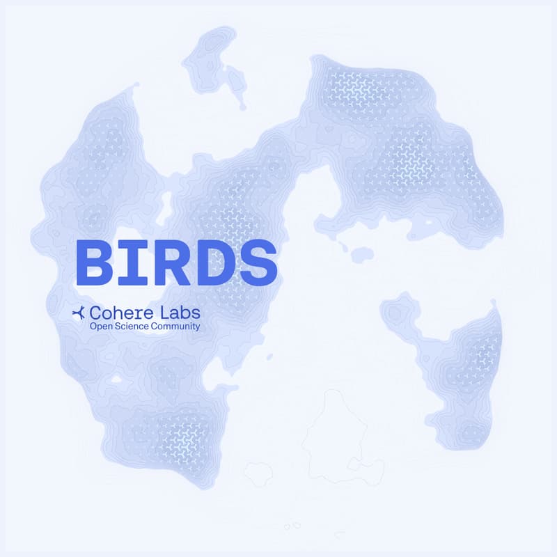 Cover Image for BIRDS Virtual Meet-Up