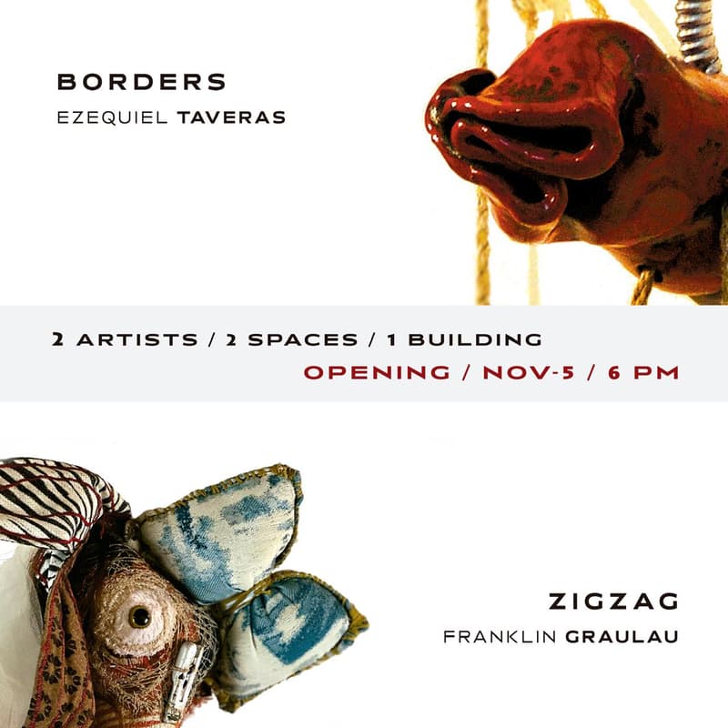 Cover Image for BORDERS / ZIGZAG