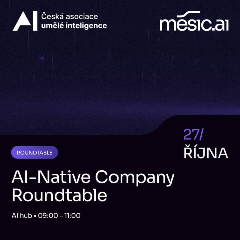 Cover Image for AI-Native Company Roundtable