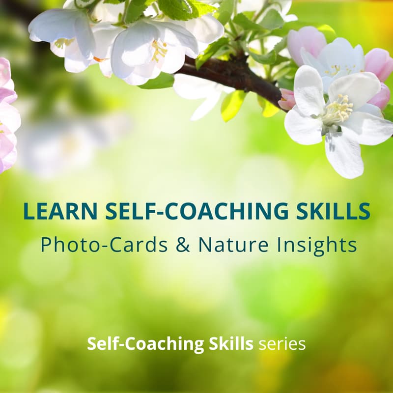 Cover Image for Lean Self-Coaching Skills (In-person)