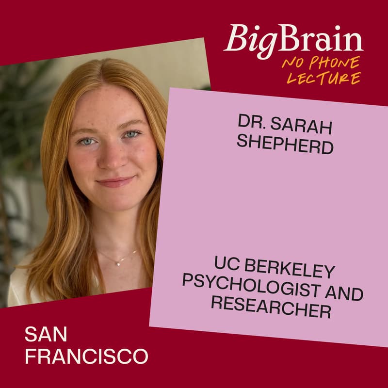 Cover Image for Brain Rot: The Psychology of Attention in a Digital World
