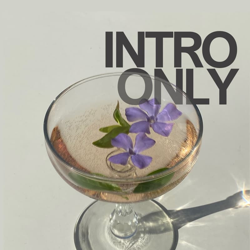 Cover Image for Intro Only: Back to The City 🖤