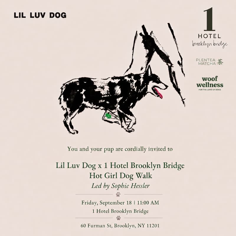 Cover Image for LIL LUV DOG X 1 HOTEL BROOKLYN BRIDGE HOT GIRL DOG WALK