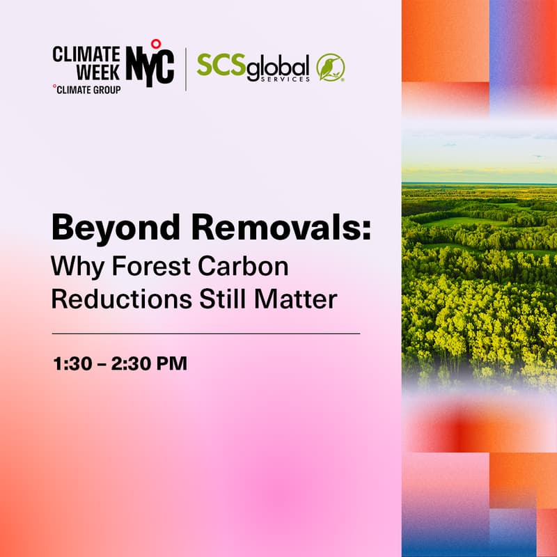 Cover Image for Beyond Removals: Why Forest Carbon Reductions Still Matter
