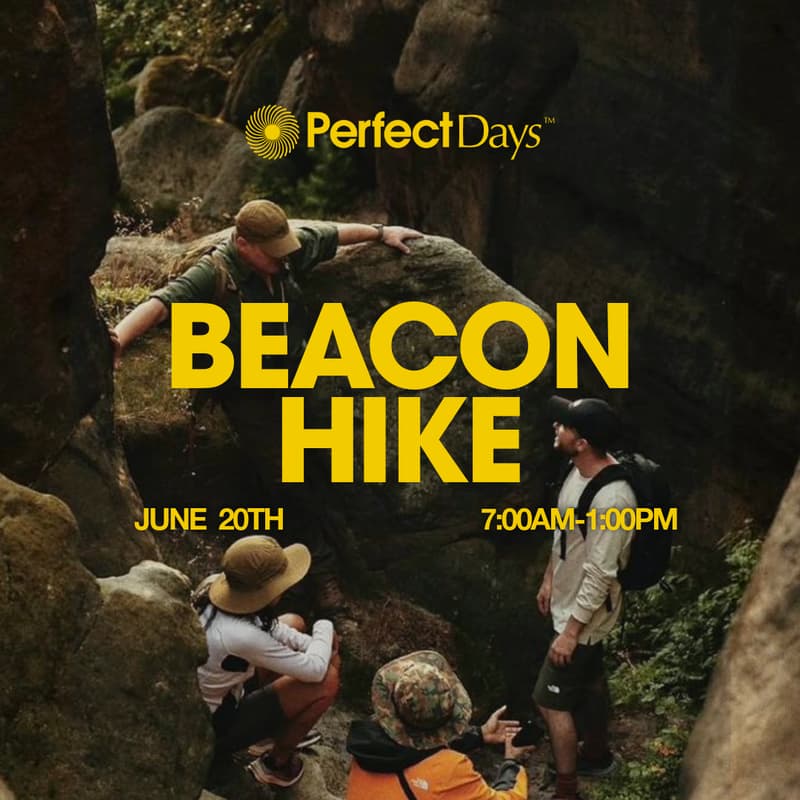 Cover Image for Perfect Days: Beacon Hike